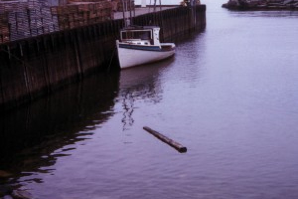 The bay of Fundy at high tide, 1972.