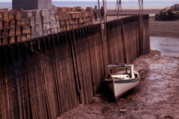 The bay of Fundy at low tide, 1972.