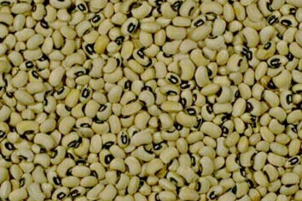 cowpeas