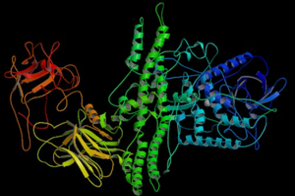 The protein structure of botulinum toxin, the agent produced by Clostridium botulinum, the cause of botulism