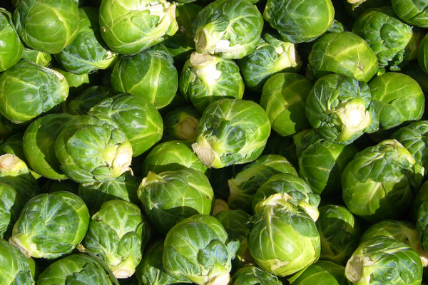 http://en.wikipedia.org/wiki/Image:Brussels_sprout_closeup.jpg...