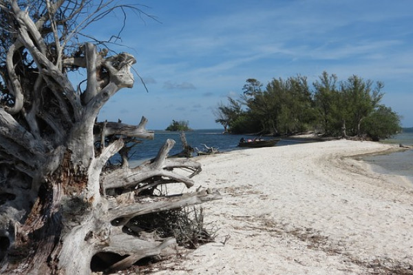 Beach, Desert Island