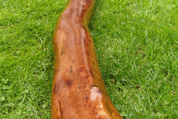 Didgeridoo