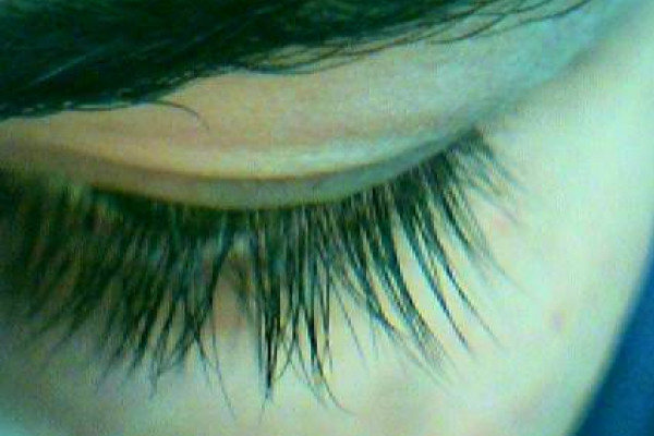 Eyelashes