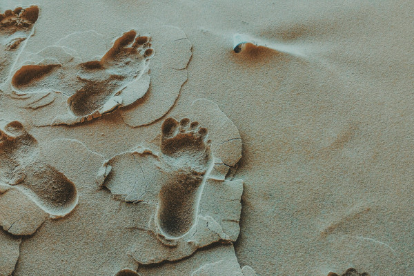 Footprints in sand on the beach