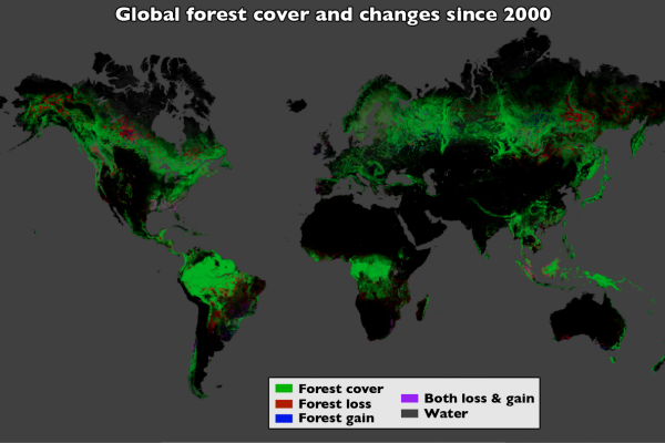  Using Landsat imagery and cloud computing, researchers mapped forest cover worldwide as well as forest loss and gain. Over 12 years, 888,000 square miles (2.3 million square kilometers) of forest were lost, and 309,000 square miles (800,000 square...