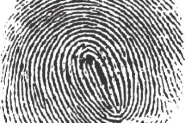 Fingerprint