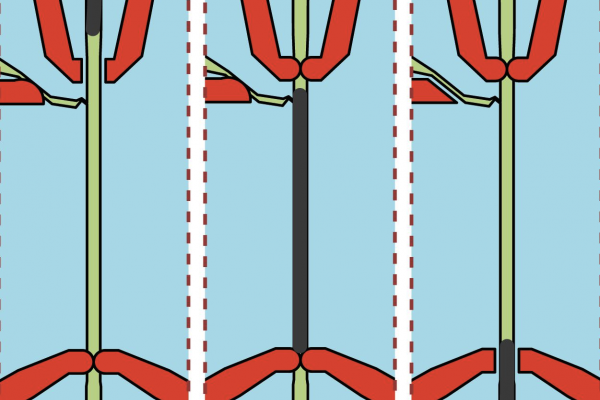 Neurones in C. elegans worms are sensitive to food availability in the environment and in turn alter gene expression encoding serotonin and TGF-beta.