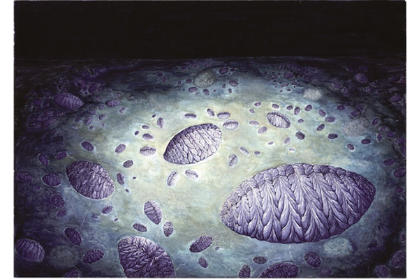 Artists impression of Fractofusus