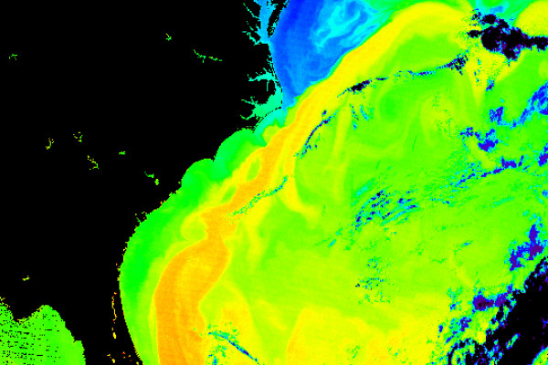 Water temperatures in the West Atlantic, showing the Gulf stream as the warm band of water stretching to the NE.