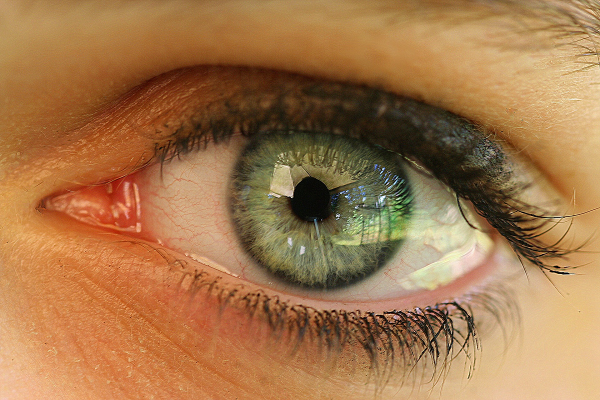 Human eye