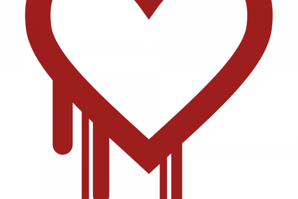 Heartbleed Bug