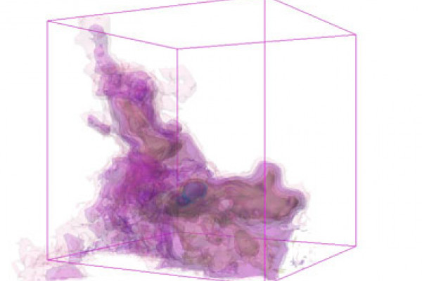 The star-forming region IC 348 in 13CO as displayed in 3D Slicer. The models represent a 3D contour map in p-p-v (RA-DEC-Velocity) space.