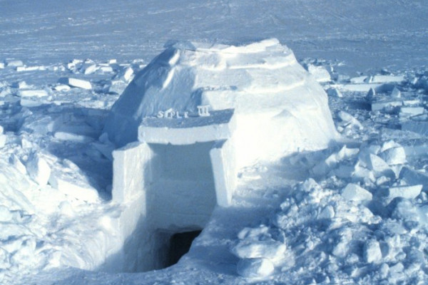 Igloo