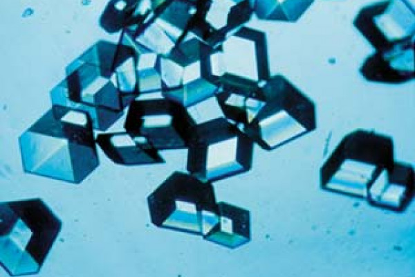 Insulin crystals