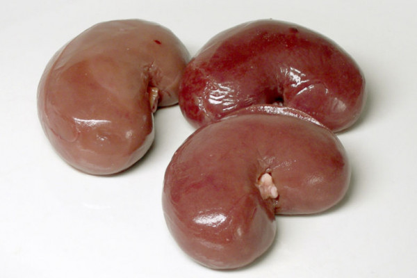 Kidneys - these are actually Lamb kidneys, not human ones, but these will do for illustration purposes...
