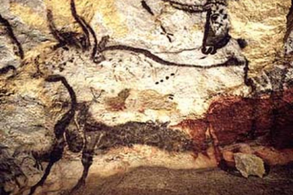 Cave painting of auroches (''Bos primigenius primigenius'') in Lascaux, France.