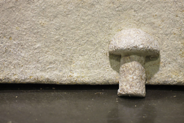 Ecovative's Mushroom Material