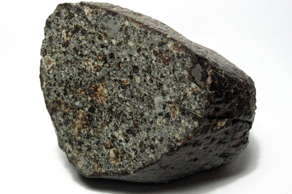 A 700g individual of the NWA 869 meteorite. Chondrules and metal flakes can be seen on the cut and polished face of this specimen. NWA 869 is a ordinary chondrite