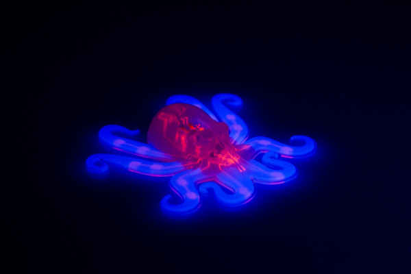 This image shows the octobot, an entirely soft, autonomous robot. A pneumatic network (red) is embedded within the octobots body and hyperelastic actuator arms (blue).