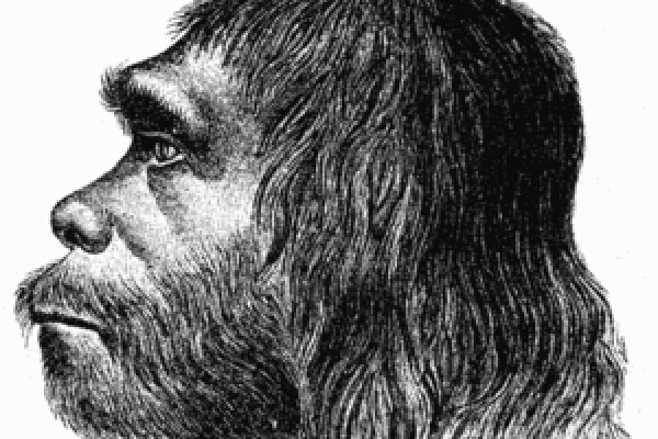 Neanderthal reconstruction