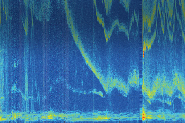 Porpoise Sonar System