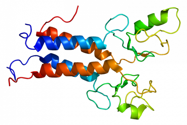 Complex Structure of the BRCA1 RING domain and BARD1 RING domain.