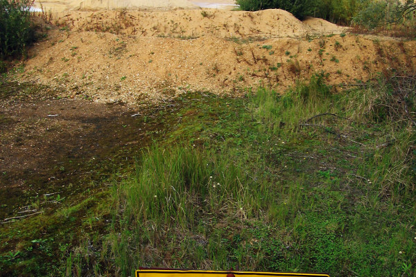 Quicksand, which forms when sand, clay, water and salt are mixed in the correct proportions.