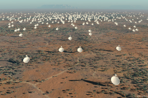 Artist's impression of the 5km diameter central core of SKA antennas.