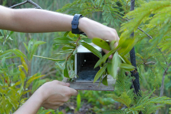 Sherman Trap, used to catch small animals.