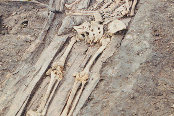 Skeleton from the middle ages