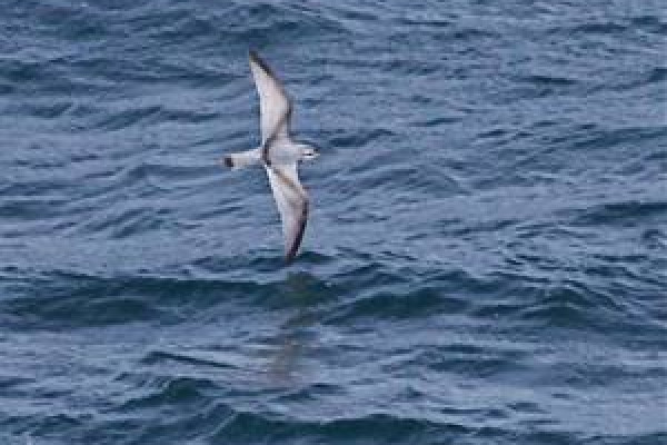 North-west of Falkland Islands