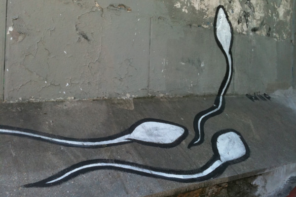 Graffiti sperm