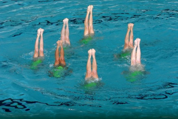 Synchronized swimmers perform a vertical postition.