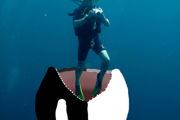 Orca eating diver