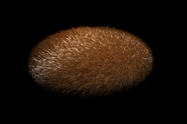 Tribble