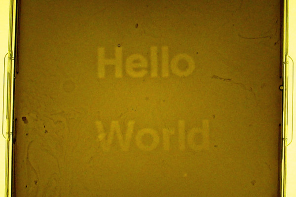 A light programmable biofilm made by the UT Austin / UCSF team during the 2004 Synthetic Biology competition, displaying \Hello World\