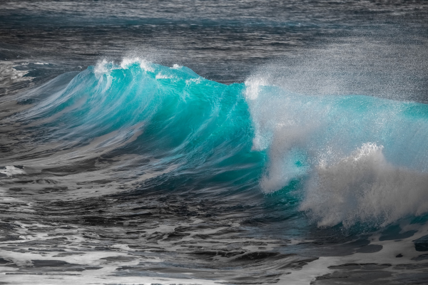 An ocean wave
