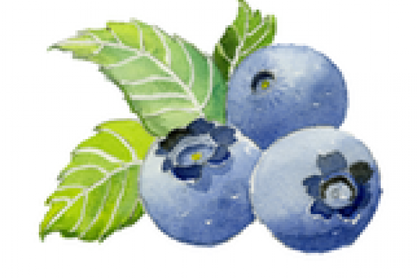 Blueberries