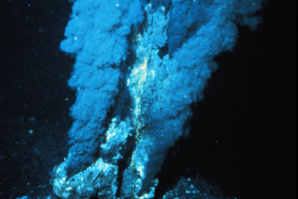 An Atlantic Hydrothermal Vent