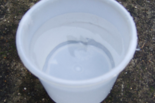 A bucket of water with a strong handle