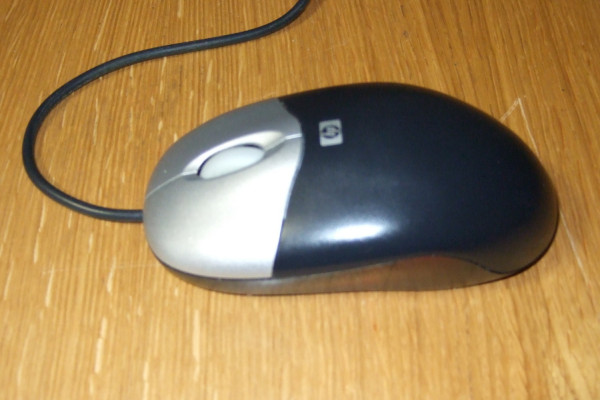 A computer mouse