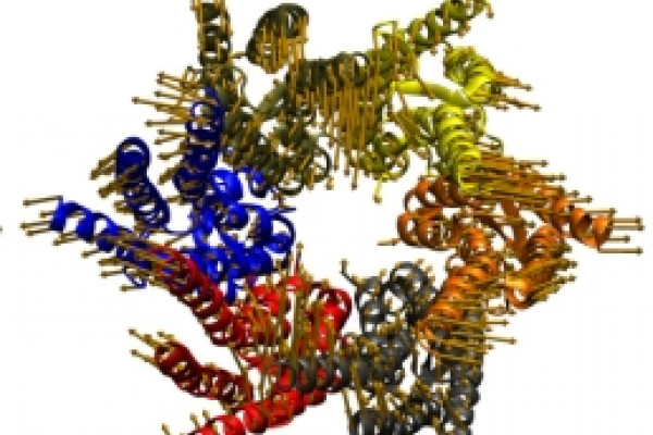 A nerve cell connexin can detect carbon dioxide, and could be involved in processes as diverse as breathing, hearing and reproduction.