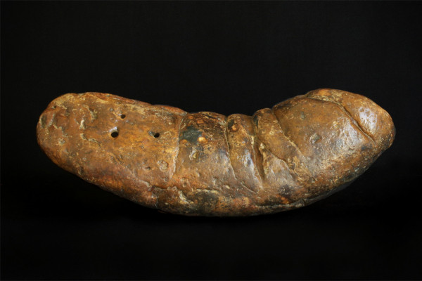 This large fossilized feces specimen is named \The Kraken\.