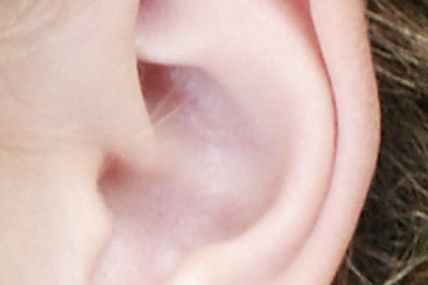 Ear