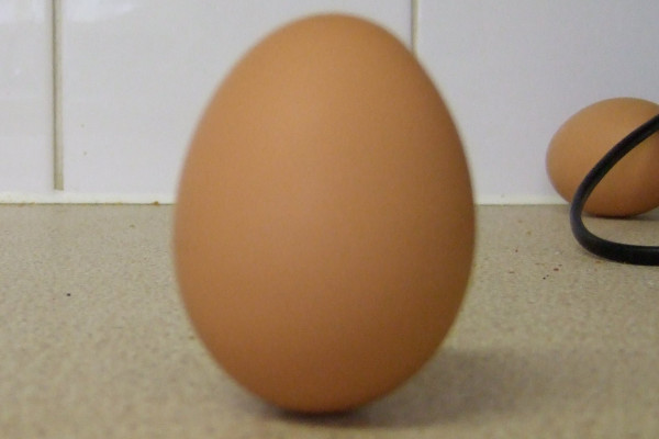 The egg stands on end