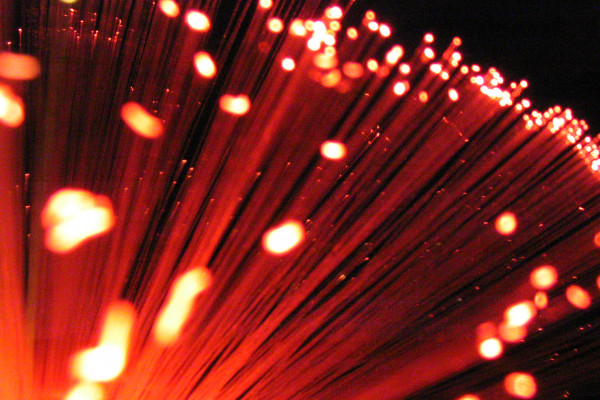 A group of optical fibres.