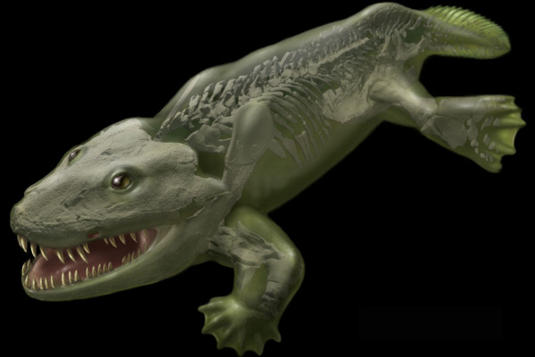 A life reconstruction of the early tetrapod Ichthyostega from the Late Devonian of East Greenland