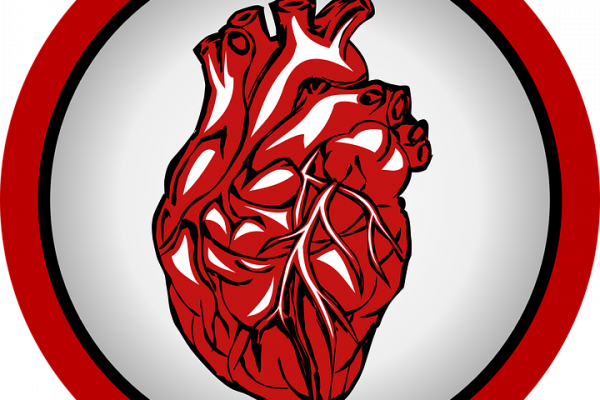 Logo of a human heart