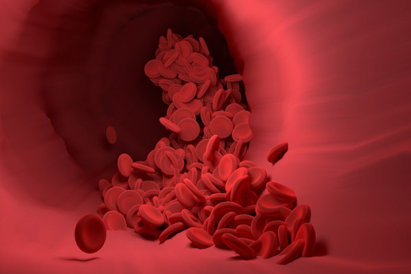 red blood cells cascading through a blood vessel
